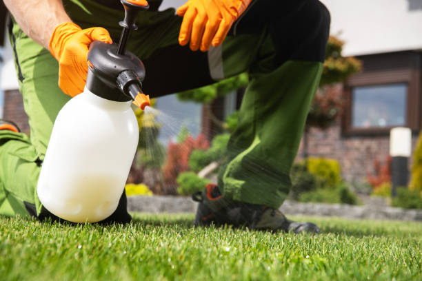 Best Commercial Pest Control Services  in Firthcliffe, NY