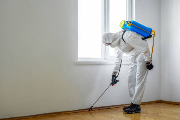 Best Emergency Pest Control  in Firthcliffe, NY