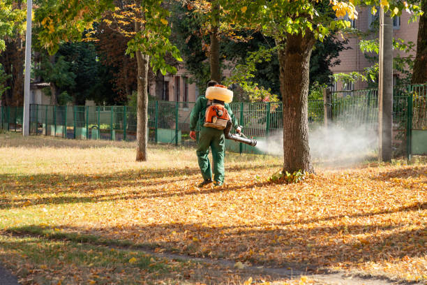 Best Cockroach Control Services  in Firthcliffe, NY