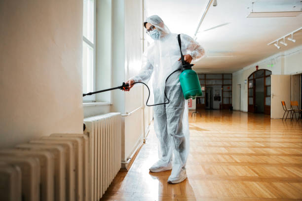 Best Affordable Pest Control Services  in Firthcliffe, NY