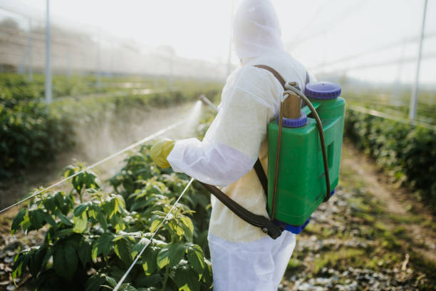 Reliable Firthcliffe, NY Pest Control Solutions